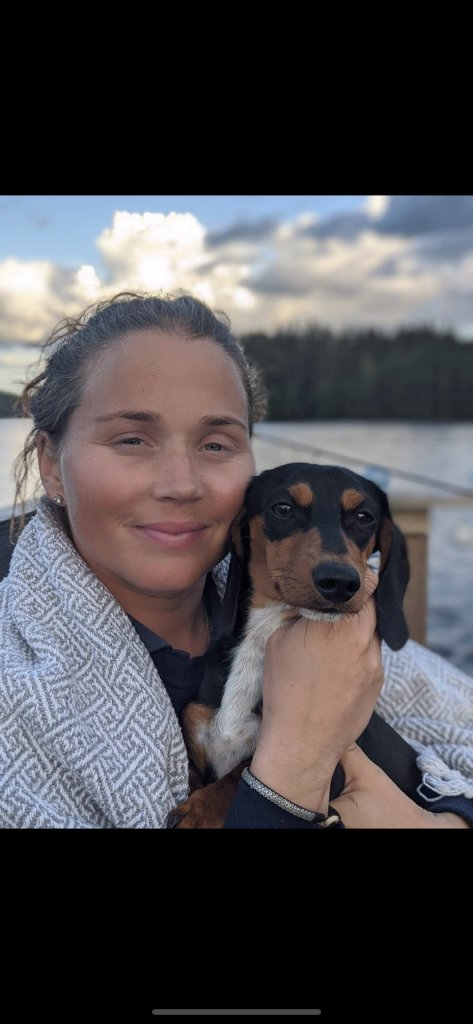 taxar taxuppfödning hunduppfödning taxar taxuppfödning hunduppfödning